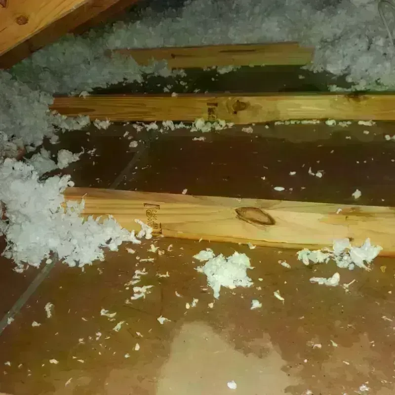 Attic Water Damage in Williamsville, IL