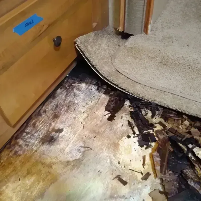 Wood Floor Water Damage in Williamsville, IL